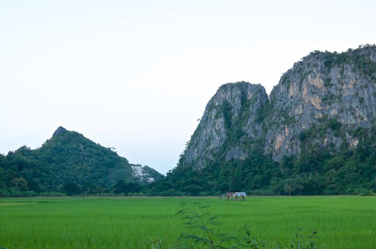 大自然的美景初中作文（《夏天的美景》）