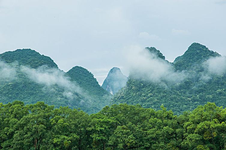 大自然的美景初中作文（《清晨的美景》）