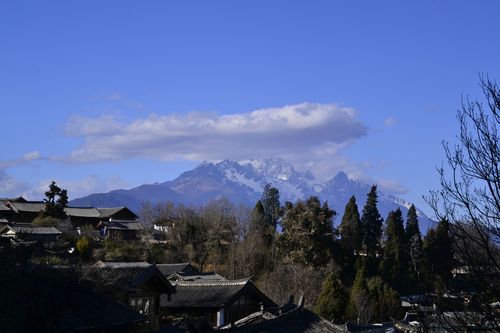 冬日的美景初中作文（《清晨的美景》）