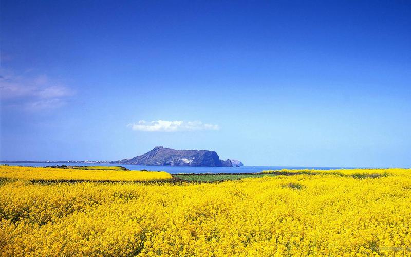 清晨的美景初中作文（《夏天的美景》）