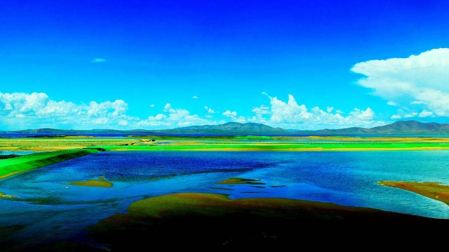 夏天的美景初中作文（《校园的美景》）