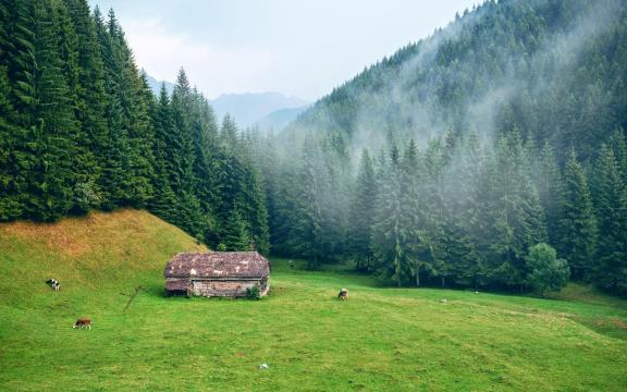 校园的美景初中作文（《公园的美景》）