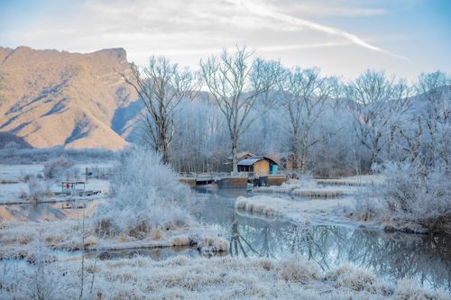 有关写冬天景色的唯美句子八十句的句子有哪些（雪花飘落，美景无限）