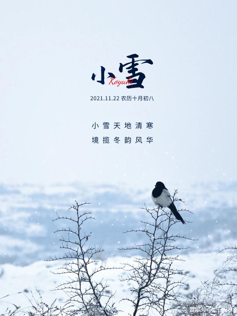 小雪适合发朋友圈的句子（小雪朋友圈句子说说——唯美短句的艺术）