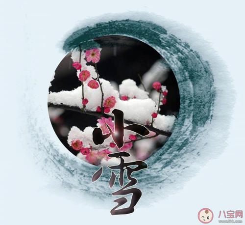 小雪节气的说说唯美大全（以短句为主，传递对冬天的热爱）