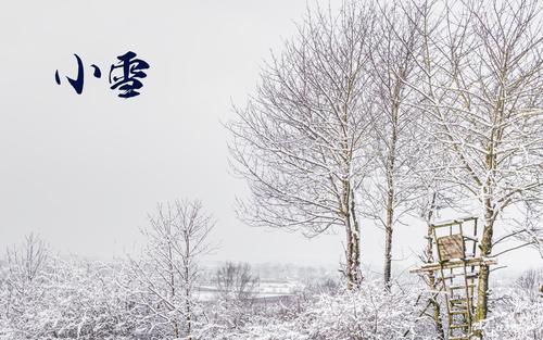 关于小雪节气的短句（寒意袭人，唯美景色）