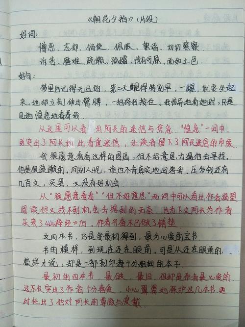 摘抄好句大全小学生（用词精准，意境深远）