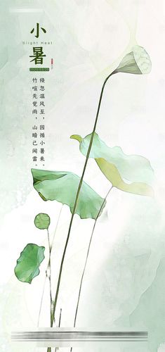 小暑时节祝福语（小暑：阳气盛极，酷暑开始）