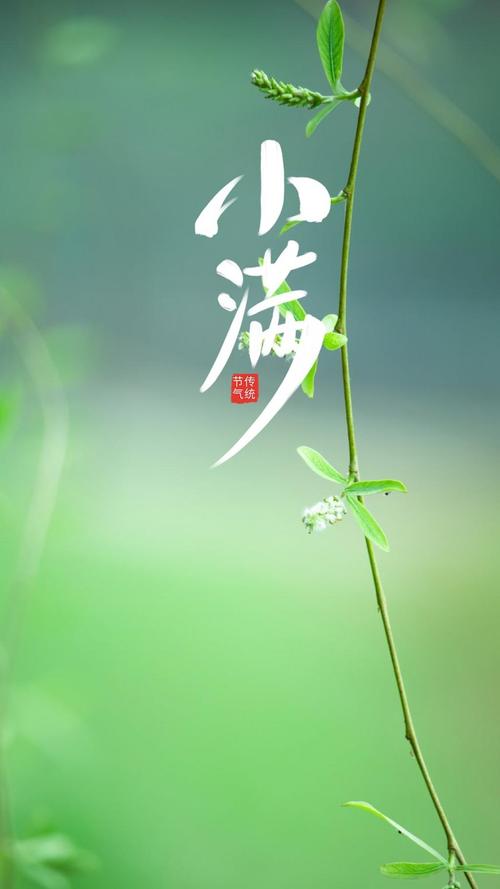 有关小满节气温馨祝福语96条的好句有哪些（祝福之花——小满节气）