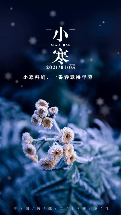 小寒节气祝愿经典句子（小寒养生祝福语短信：传递温暖，守护健康）