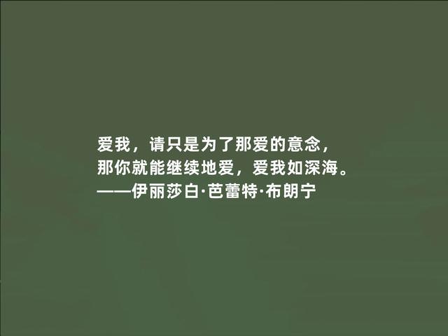 现实的摘抄（赏析现实美学）