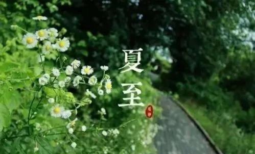 夏至节气经典句子（夏至祝福语集锦）