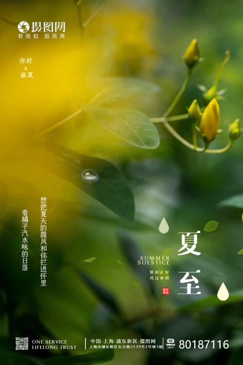 夏至节气说说简短一句话（《夏至花事》——盛夏迎花开）