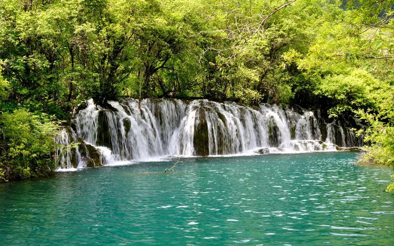 夏天美景的句子唯美句（夏日之美——留住那一抹绚烂阳光）