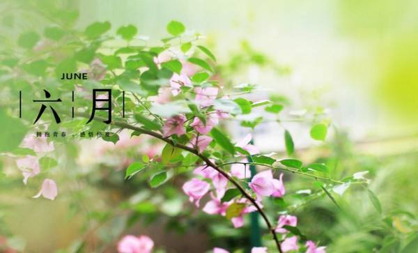 关于夏天的句子简短唯美（踏入令人心旷神怡的季节）