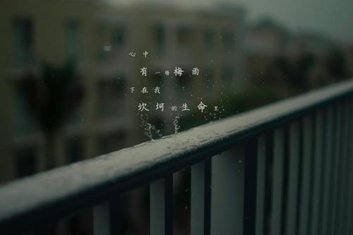 有关下雨天的心情说说感悟的好句摘抄（雨天的心情——细雨中的思绪）