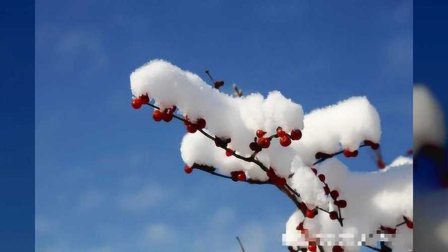 下雪了发朋友圈的唯美心情说说最新和下雪有关说说大全（写在雪景下，遇见美好的自己）