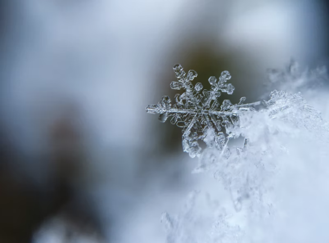 关于下雪发朋友圈的说说（追寻雪的美丽与神秘）