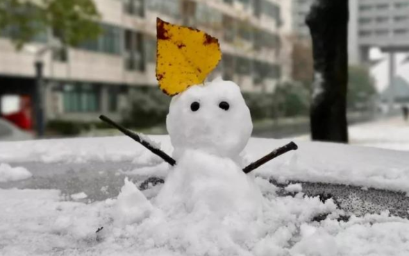 下雪发朋友圈的句子 心情短句（雪落人间）