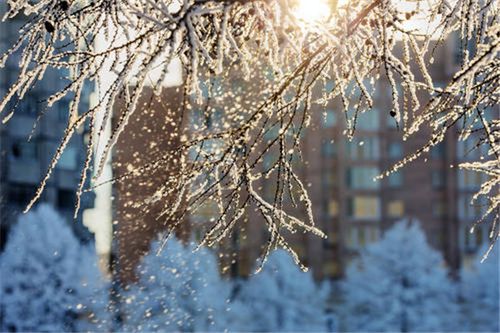 下雪时发的唯美短句朋友圈（浪漫雪景下，感受生命美好）