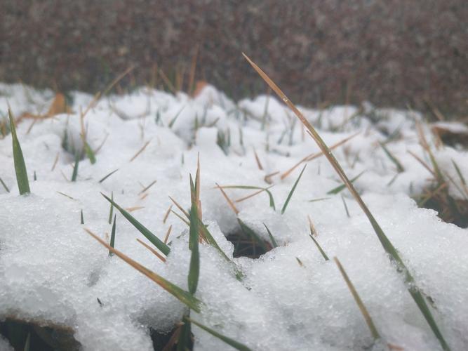 下雪的古风短句（凝固成诗的冬日）