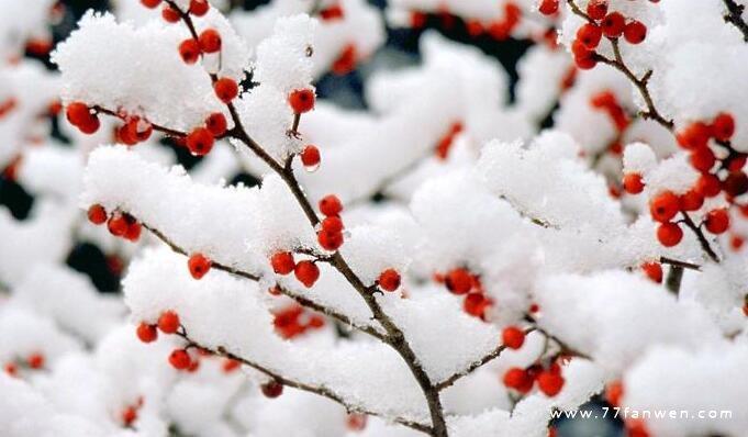 下雪天说说句子（冬日里的唯美瞬间）