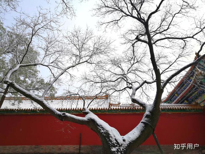 下雪天发朋友圈的句子,唯美走心!（冬日寂静，雪中思绪）