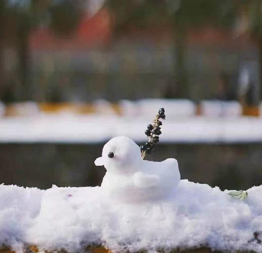 下雪了朋友圈短句（雪落人间，美景难忘）