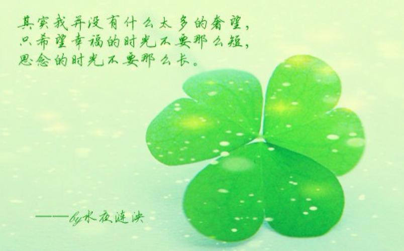 有关希望对方幸福的短句子的句子摘抄（希望你幸福——温馨的祝福）