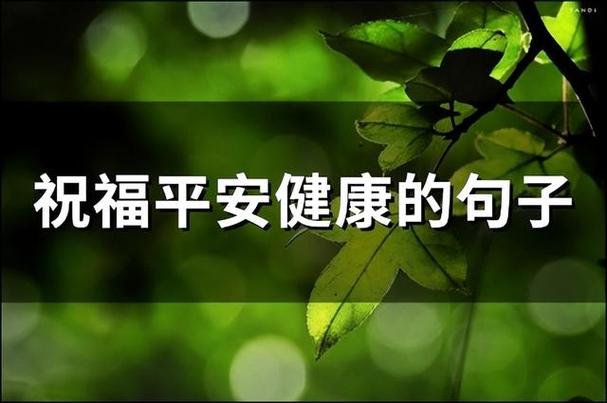 有关希望对方幸福的短句子的句子摘抄（希望你幸福——温馨的祝福）