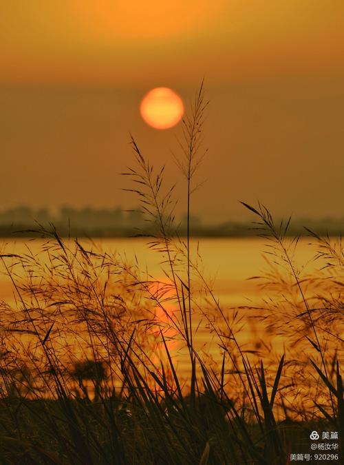 有关夕阳的唯美句子短句子（夕阳醉人，其余无恙。）