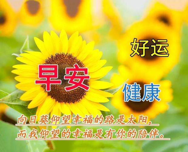 202|年春节祝福语（用句句暖心的祝福，温暖你我的心灵）