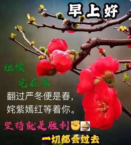 温馨的早安祝福语大全（早安）