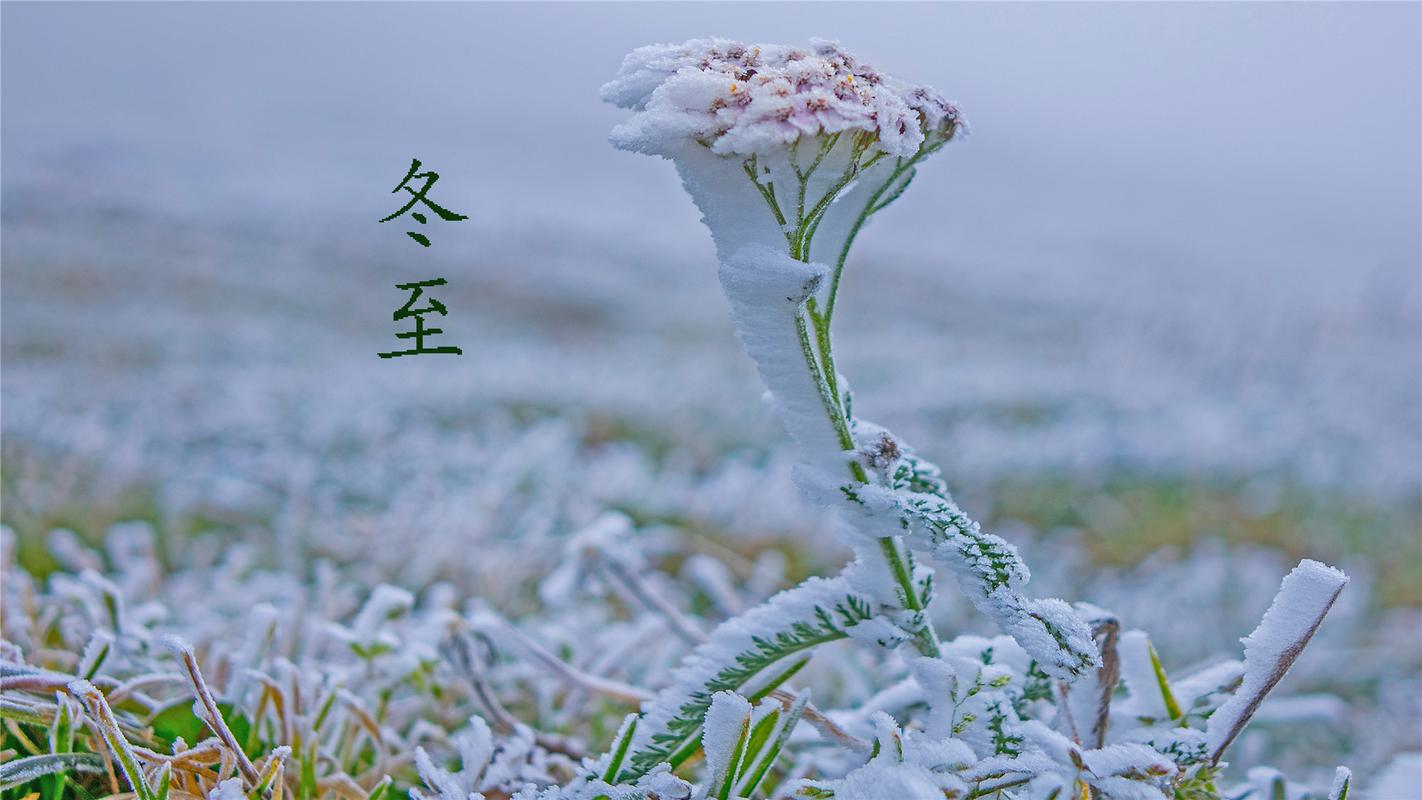 冬至唯美短句（寒意中的美丽）