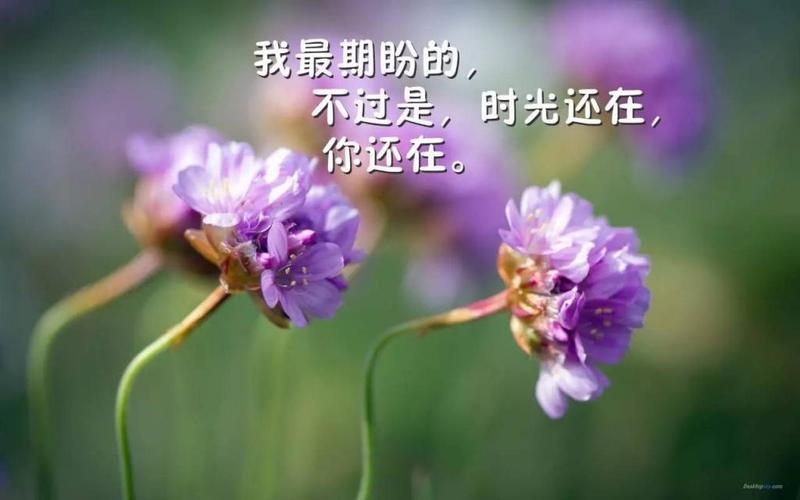 微信发朋友圈早安的高质短句（微信朋友圈早安心语唯美句子）