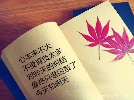 微信朋友圈心情短语（微信朋友圈，记录我心中的美好）