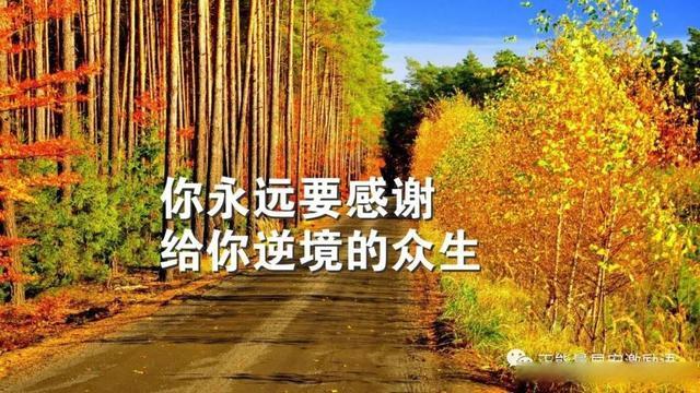 微信朋友圈日常文案（微信朋友圈·日常唯美短句）