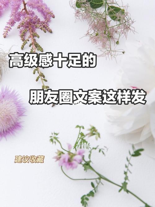 微信朋友圈暖心的说说（微信朋友圈里的温暖人心）