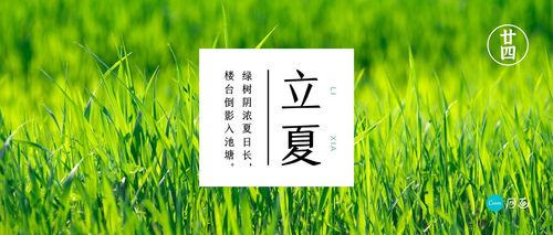 公众号优美句子（微信公众号唯美句子——爱在心底，不离不弃）