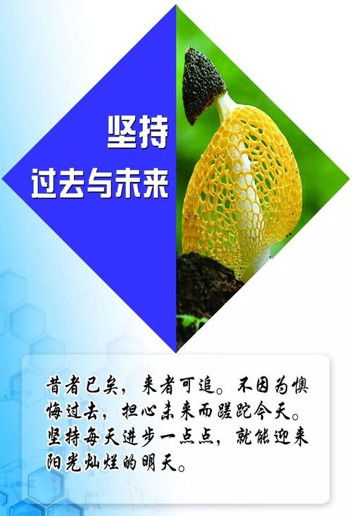 微商正能量句子简短（微商励志正能量，勇闯天涯）