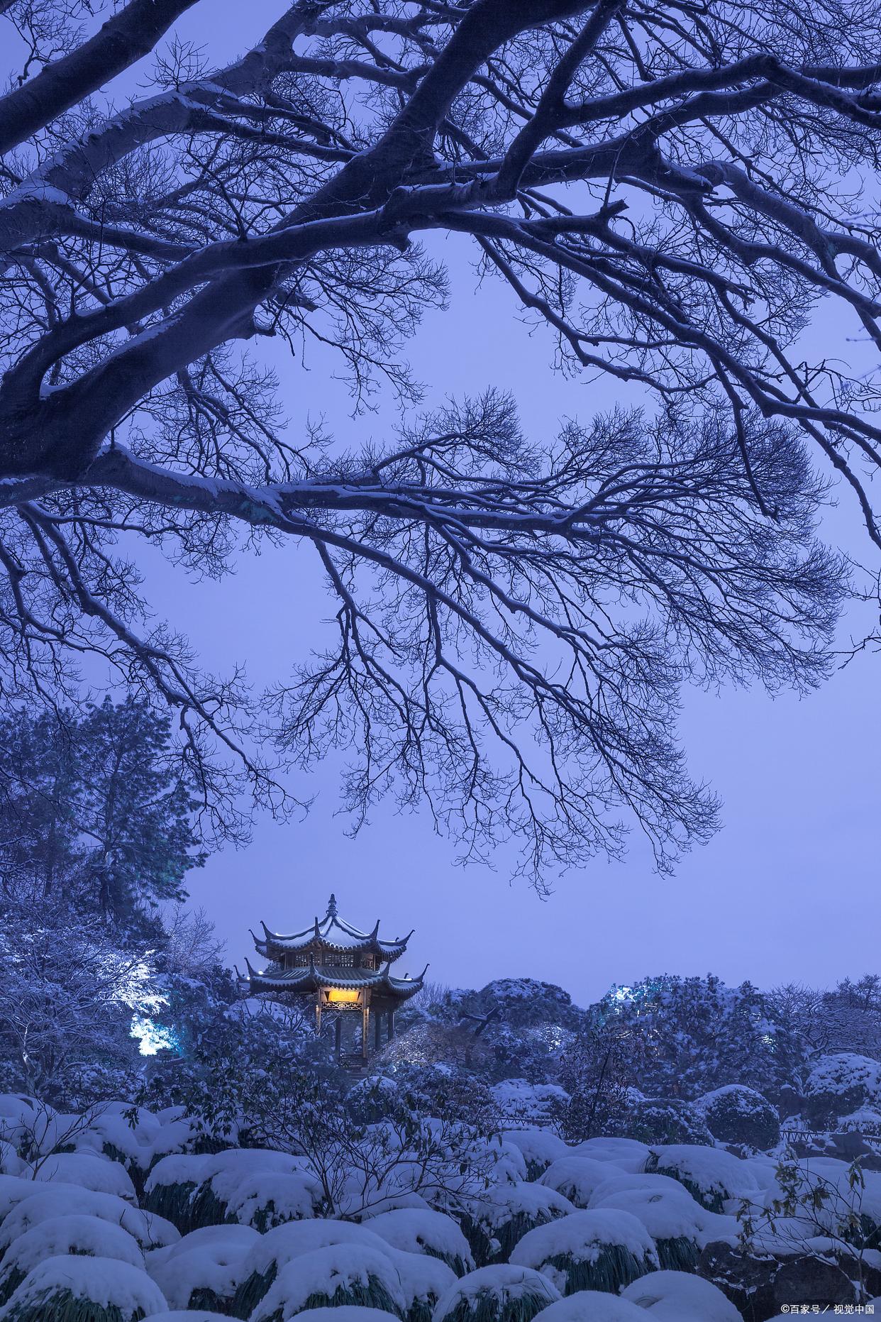 游人莫笑白头醉，老醉花间有几人（刘禹锡20句经典诗句）