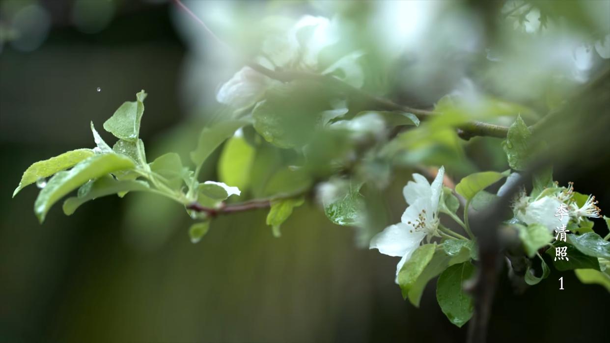 独抱浓愁无好梦，夜阑犹剪灯花弄（李清照六首经典名词赏析）