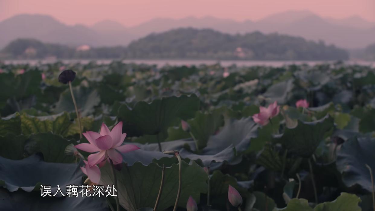 独抱浓愁无好梦，夜阑犹剪灯花弄（李清照六首经典名词赏析）