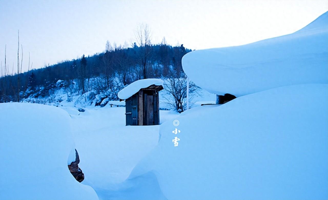 与雪相逢，与冬相拥（精选十首小雪诗词）