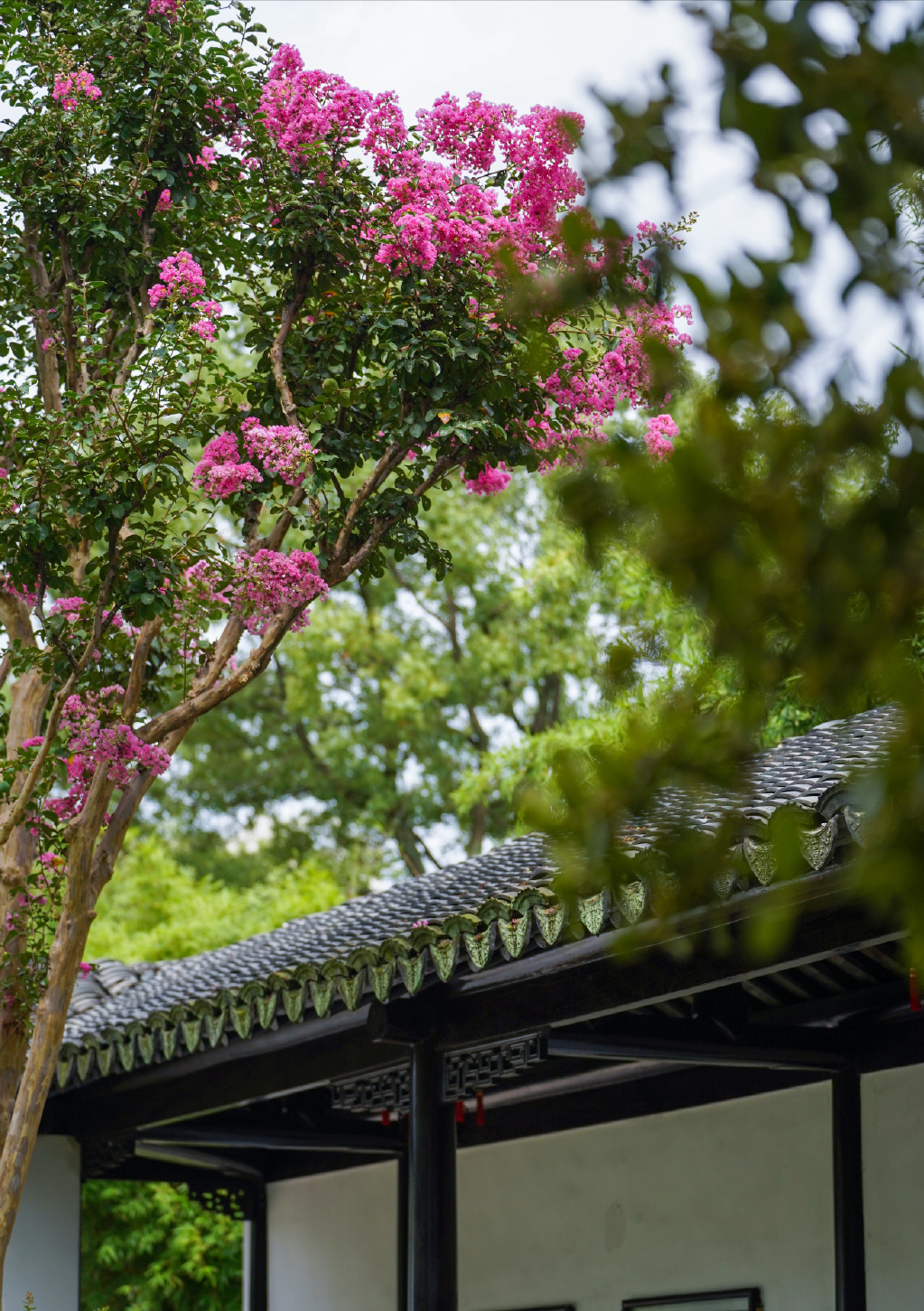 缪珠荪的十首诗词（黄梅时节家家雨，梅子黄时日日晴）