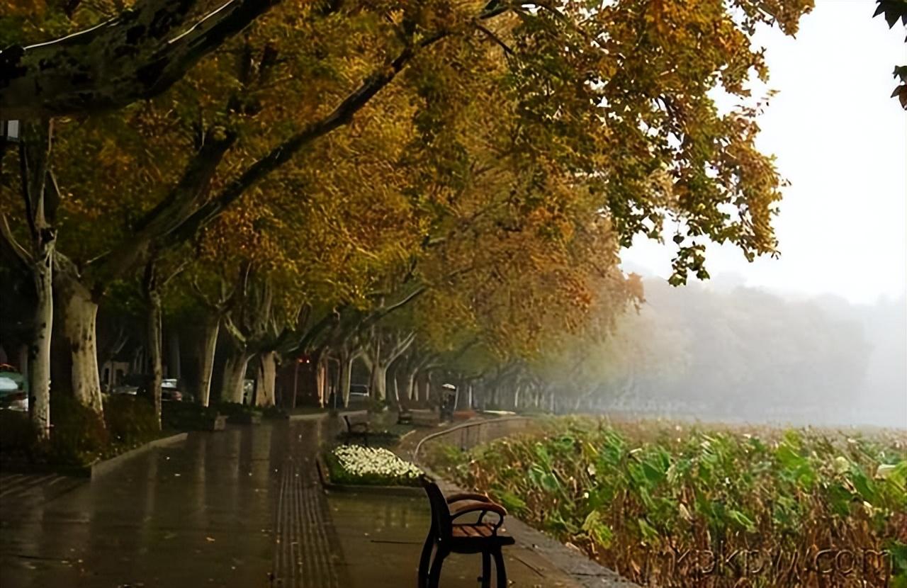 秋雨经典诗词大全（十首经典的秋雨诗词）