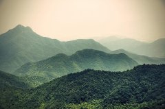 张九成的十首诗词（春天夜月一声蛙，撞破虚空共一家）