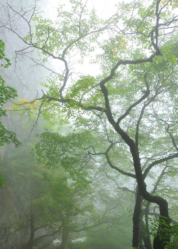 月明浑似雪，无处认渔家（雍裕之的十首古诗）