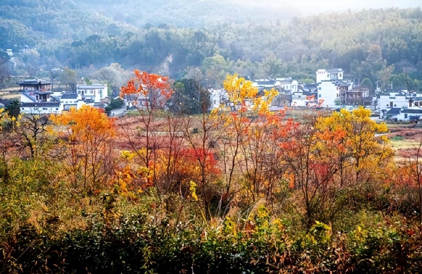 红蓼花繁映月，黄芦叶乱摇风（吴承恩的十首诗词）