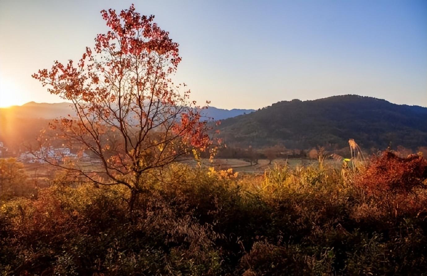 红蓼花繁映月，黄芦叶乱摇风（吴承恩的十首诗词）